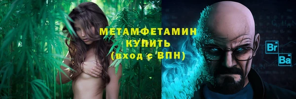 прущие грибы Надым