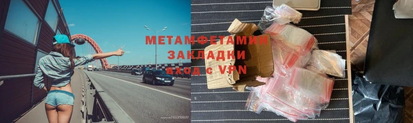 прущие грибы Надым