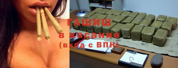 прущие грибы Надым