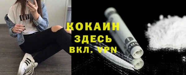 прущие грибы Надым