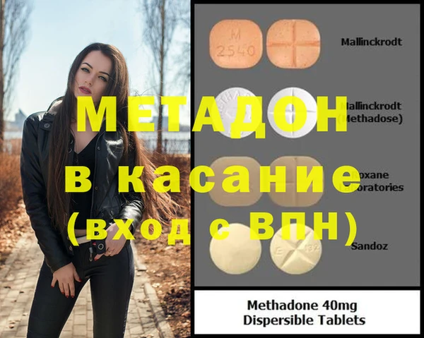 прущие грибы Надым
