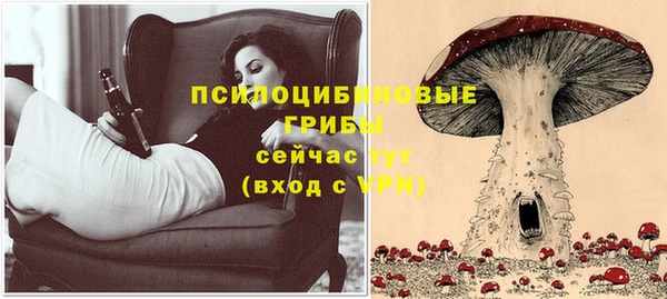 спиды Наволоки