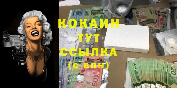 прущие грибы Надым