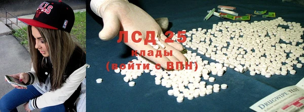 гидра Белая Холуница
