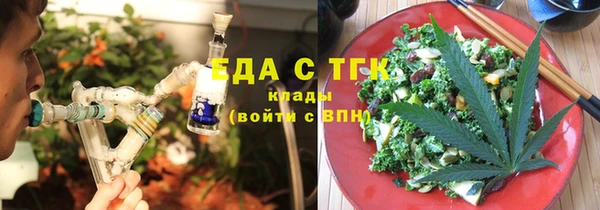 прущие грибы Надым