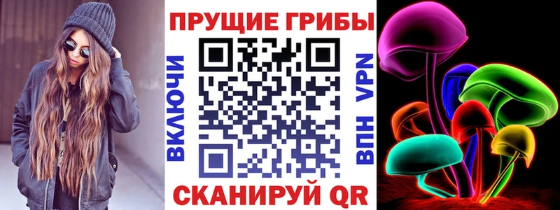 Галлюциногенные грибы Psilocybine cubensis  Тотьма 